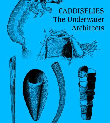 خرید و دانلود نسخه کامل کتاب Caddisflies. The underwater architects