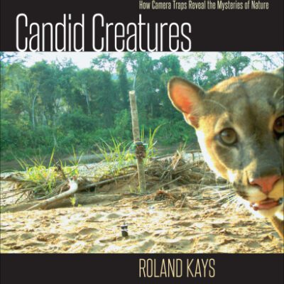 خرید و دانلود نسخه کامل کتاب Candid Creatures: How Camera Traps Reveal the Mysteries of Nature