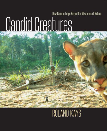 خرید و دانلود نسخه کامل کتاب Candid Creatures: How Camera Traps Reveal the Mysteries of Nature_68e0974853c3d.jpeg خرید و دانلود نسخه کامل کتاب Candid Creatures: How Camera Traps Reveal the Mysteries of Nature