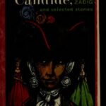 خرید و دانلود نسخه کامل کتاب Candide, Zadig and Selected Stories
