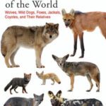 خرید و دانلود نسخه کامل کتاب Canids of the World: Wolves, Wild Dogs, Foxes, Jackals, Coyotes, and Their Relatives