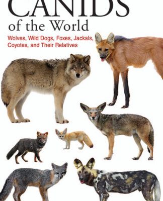 خرید و دانلود نسخه کامل کتاب Canids of the World: Wolves, Wild Dogs, Foxes, Jackals, Coyotes, and Their Relatives