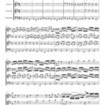 خرید و دانلود نسخه کامل کتاب Canon in D. String quartet