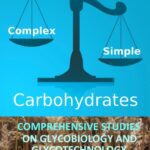 خرید و دانلود نسخه کامل کتاب Carbohydrates: Comprehensive Studies on Glycobiology and Glycotechnology