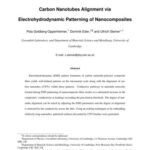 خرید و دانلود نسخه کامل کتاب Carbon Nanotubes Alignment via Electrohydrodynamic Patterning of Nanocomposites