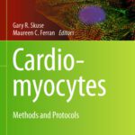 خرید و دانلود نسخه کامل کتاب Cardiomyocytes: Methods and Protocols