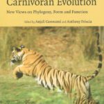 خرید و دانلود نسخه کامل کتاب Carnivoran evolution: New views on phylogeny, form and function