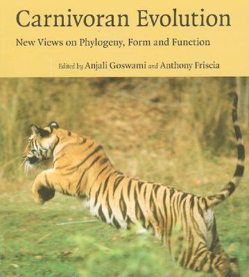 خرید و دانلود نسخه کامل کتاب Carnivoran evolution: New views on phylogeny, form and function