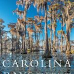 خرید و دانلود نسخه کامل کتاب Carolina Bays: Wild, Mysterious, and Majestic Landforms