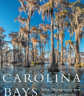 خرید و دانلود نسخه کامل کتاب Carolina Bays: Wild, Mysterious, and Majestic Landforms