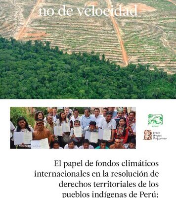 خرید و دانلود نسخه کامل کتاب Carrera de resistencia, no de velocidad. El papel de fondos climáticos internacionales en la resolución de derechos territoriales de los pueblos indígenas de Perú; Avances, retrocesos y desafíos