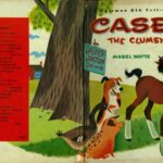 خرید و دانلود نسخه کامل کتاب Casey The Clumsy Colt