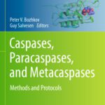 خرید و دانلود نسخه کامل کتاب Caspases,Paracaspases, and Metacaspases: Methods and Protocols