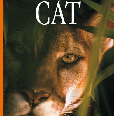 خرید و دانلود نسخه کامل کتاب Cat (DK Eyewitness Books)