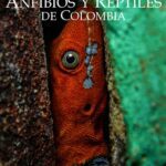 خرید و دانلود نسخه کامل کتاب Catálogo de Anfibios y Reptiles de Colombia