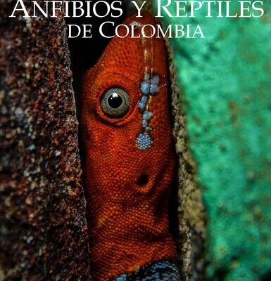 خرید و دانلود نسخه کامل کتاب Catálogo de Anfibios y Reptiles de Colombia