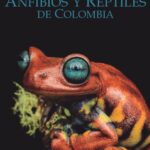 خرید و دانلود نسخه کامل کتاب Catálogo de Anfibios y Reptiles de Colombia