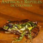 خرید و دانلود نسخه کامل کتاب Catálogo de Anfibios y Reptiles de Colombia