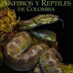 خرید و دانلود نسخه کامل کتاب Catálogo de Anfibios y Reptiles de Colombia