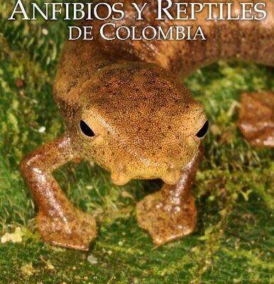خرید و دانلود نسخه کامل کتاب Catálogo de Anfibios y Reptiles de Colombia