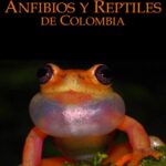 خرید و دانلود نسخه کامل کتاب Catálogo de Anfibios y Reptiles de Colombia