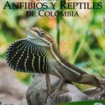 خرید و دانلود نسخه کامل کتاب Catálogo de Anfibios y Reptiles de Colombia