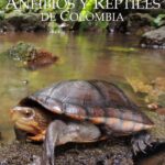 خرید و دانلود نسخه کامل کتاب Catálogo de Anfibios y Reptiles de Colombia