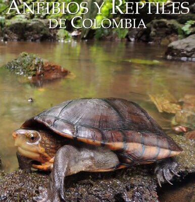 خرید و دانلود نسخه کامل کتاب Catálogo de Anfibios y Reptiles de Colombia