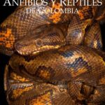 خرید و دانلود نسخه کامل کتاب Catálogo de Anfibios y Reptiles de Colombia