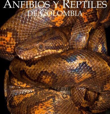 خرید و دانلود نسخه کامل کتاب Catálogo de Anfibios y Reptiles de Colombia