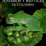خرید و دانلود نسخه کامل کتاب Catálogo de Anfibios y Reptiles de Colombia