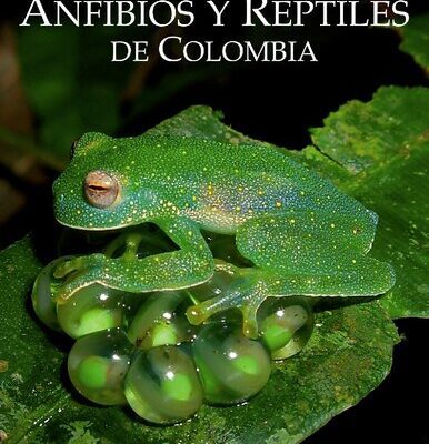 خرید و دانلود نسخه کامل کتاب Catálogo de Anfibios y Reptiles de Colombia