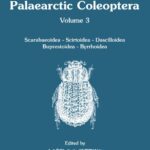خرید و دانلود نسخه کامل کتاب Catalogue of Palaearctic Coleoptera, volume 3. Scarabaeoidea – Scirtoidea – Dascilloidea – Buprestoidea – Byrrhoidea