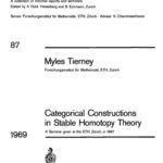 خرید و دانلود نسخه کامل کتاب Categorical Constructions in Stable Homotopy Theory