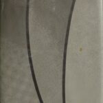 خرید و دانلود نسخه کامل کتاب Cathedral