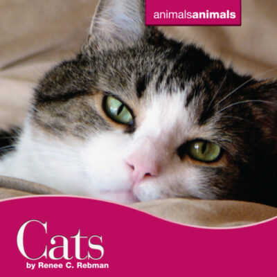 خرید و دانلود نسخه کامل کتاب Cats (Animals Animals)