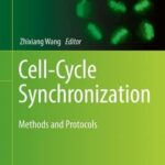 خرید و دانلود نسخه کامل کتاب Cell-Cycle Synchronization: Methods and Protocols