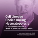 خرید و دانلود نسخه کامل کتاب Cell Lineage Choice During Haematopoiesis: A Commemorative Issue in Honor of Professor Antonius Rolink