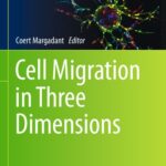خرید و دانلود نسخه کامل کتاب Cell Migration in Three Dimensions