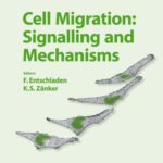خرید و دانلود نسخه کامل کتاب Cell Migration: Signalling and Mechanisms (Translational Research in Biomedicine, Vol. 2)