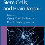 خرید و دانلود نسخه کامل کتاب Cell Therapy, Stem Cells, and Brain Repair (Contemporary clinical Neuroscience)