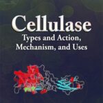 خرید و دانلود نسخه کامل کتاب Cellulase : types and action, mechanism, and uses