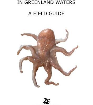 خرید و دانلود نسخه کامل کتاب Cephalopods In Greenland Waters