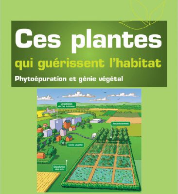خرید و دانلود نسخه کامل کتاب Ces plantes qui guérissent l’habitat : phytoépuration et génie végétal