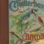 خرید و دانلود نسخه کامل کتاب Chatterbox Book of Birds