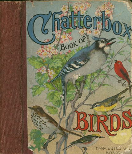خرید و دانلود نسخه کامل کتاب Chatterbox Book of Birds_68e64c0ddd510.jpeg خرید و دانلود نسخه کامل کتاب Chatterbox Book of Birds