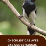 خرید و دانلود نسخه کامل کتاب Checklist das aves das UCs Estaduais do Rio de Janeiro