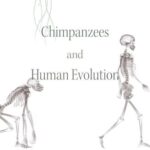 خرید و دانلود نسخه کامل کتاب Chimpanzees and Human Evolution
