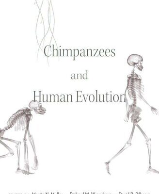 خرید و دانلود نسخه کامل کتاب Chimpanzees and Human Evolution