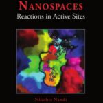 خرید و دانلود نسخه کامل کتاب Chirality in Biological Nanospaces : Reactions in Active Sites